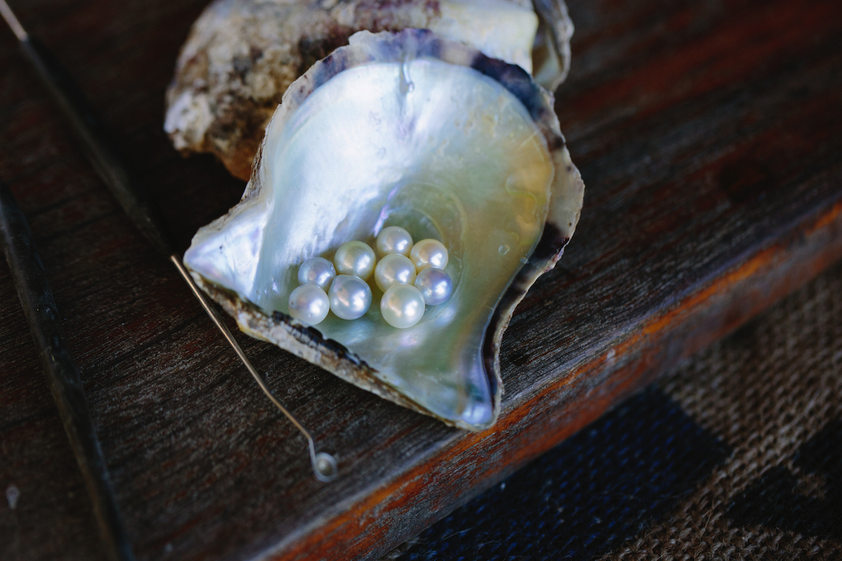 Broken Bay Pearl Farm: Jewel Of The NSW Central Coast