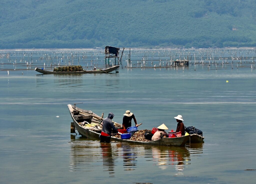 Vietnam oyster farm image by Anne-Ed C. from Pixabay