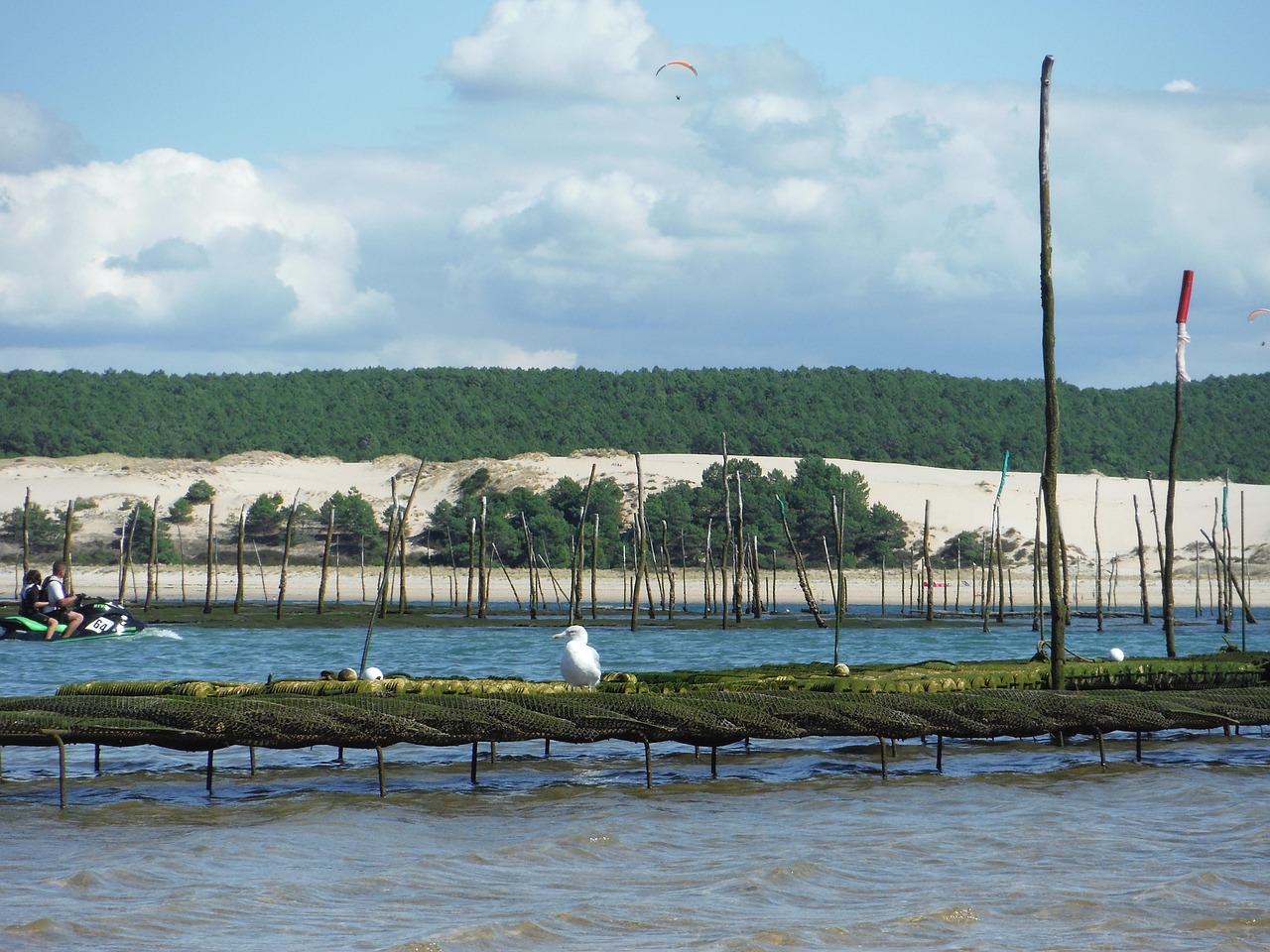 Arcachon: One of the best places in France to taste oysters