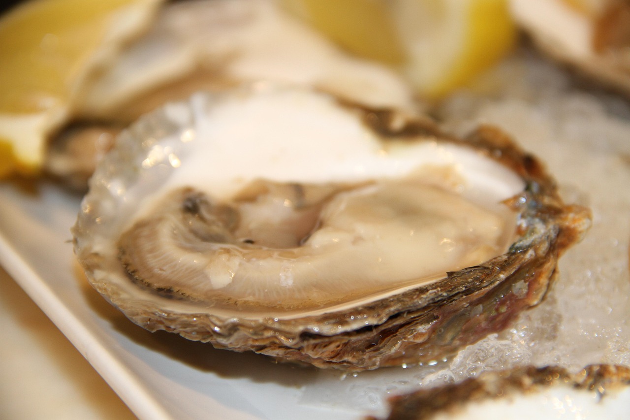 Oyster image by Luis Fernando Talavera from Pixabay