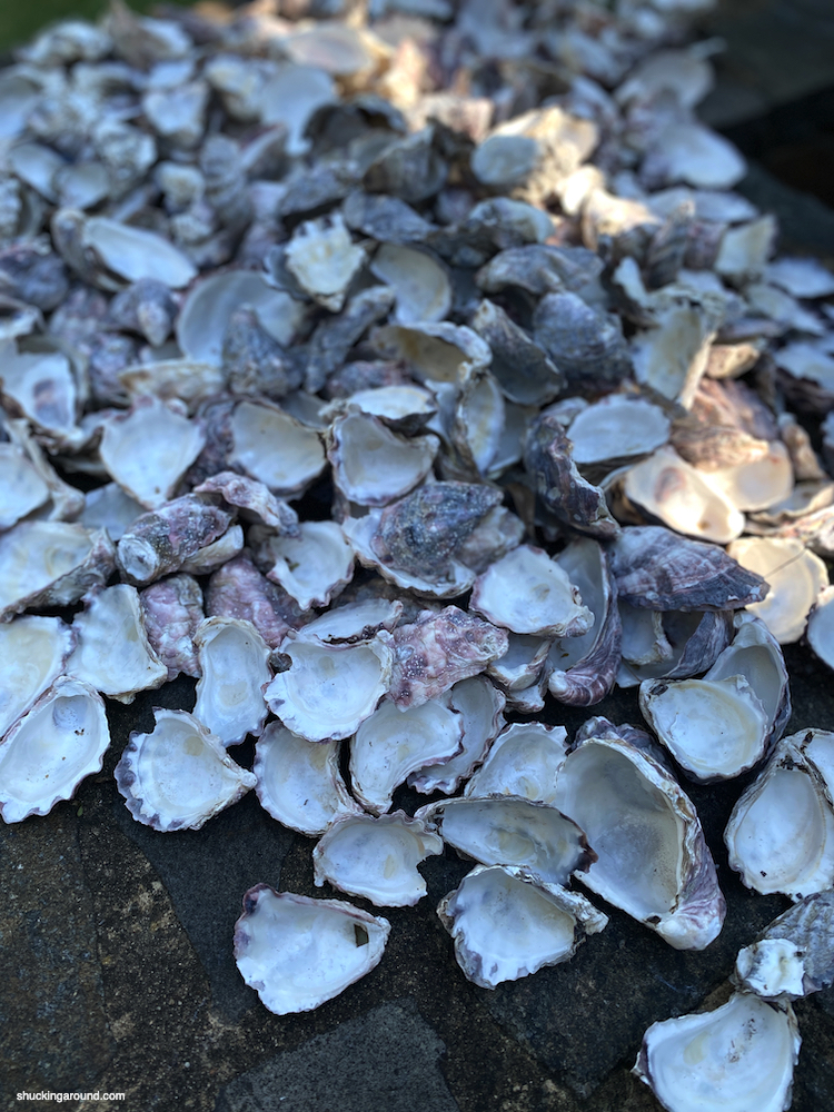 Oyster shells
