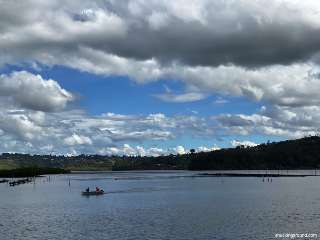 Birds Bay farm in Terranora Broadwater, Tweed River, NSW, Australia.