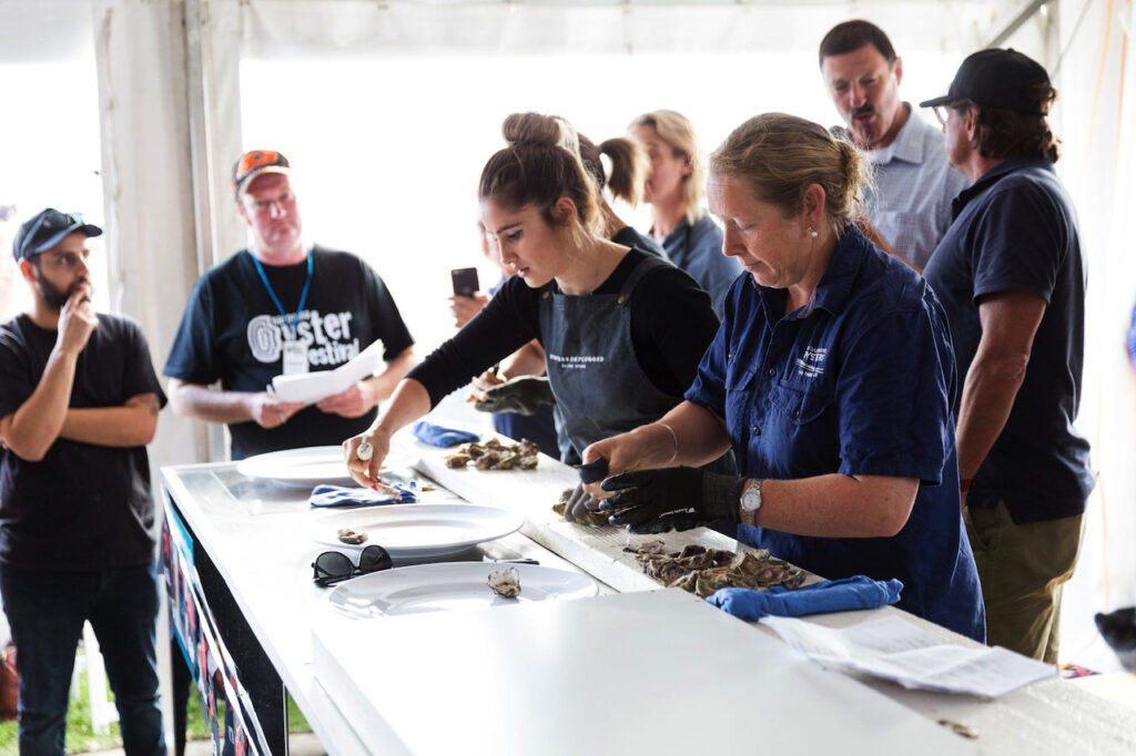 Oyster shucking at the Narooma Oyster Festival. Photo supplied by Destination NSW.