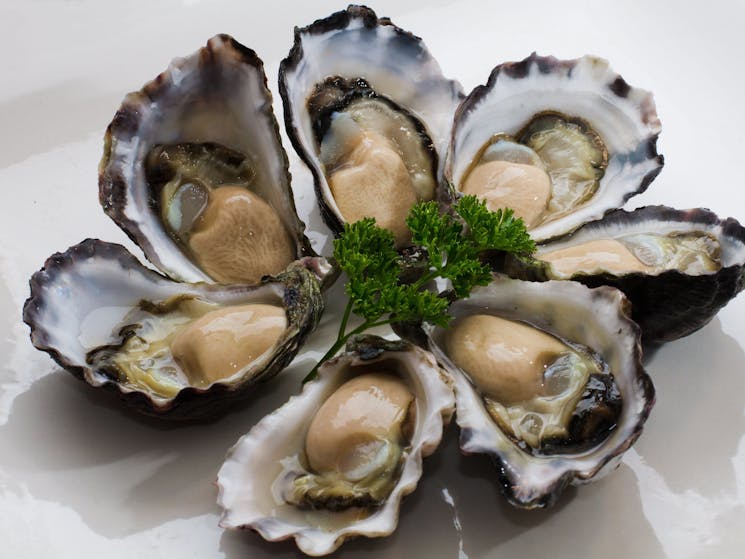 Highest Score Ever For Oysters At Sydney Show