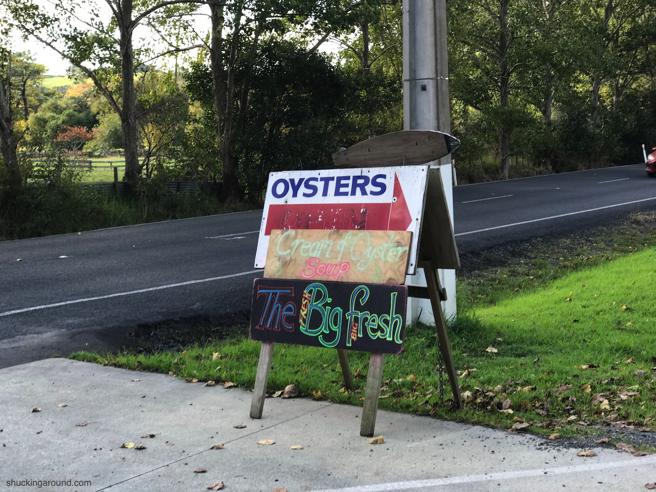 The Green Shed is a popular stopping off point for oysters and cream of oyster soup.