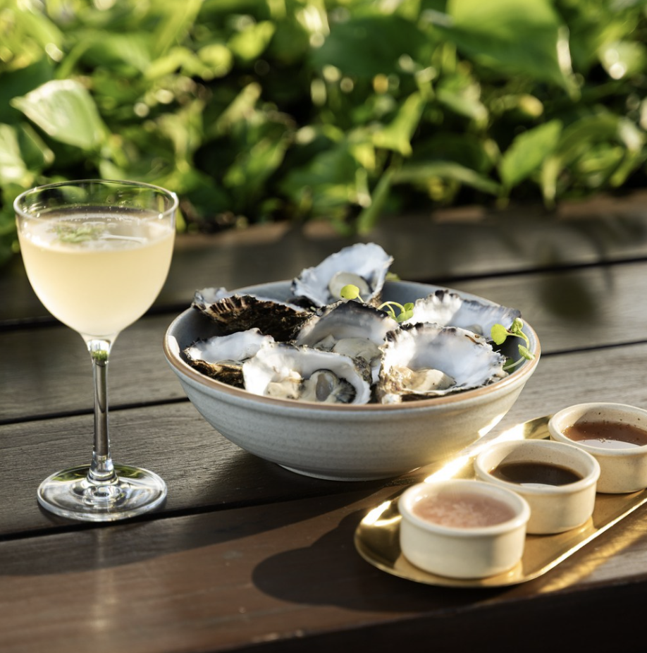 Gin-Topped Oysters
