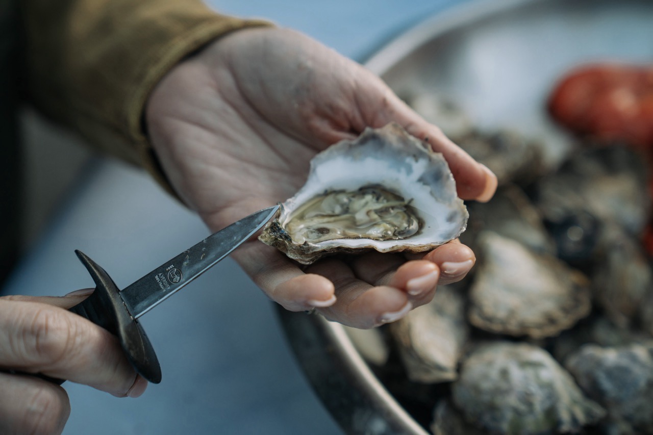Sydney Oyster Farm Tours: a true farm-gate to plate experience. Photo by Remy Brand for Destination Central Coast.