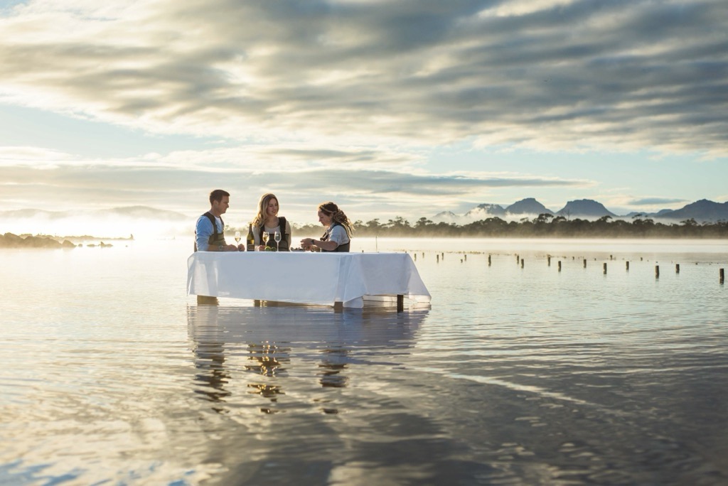 Farm-to-table Experience At Saffire Freycinet
